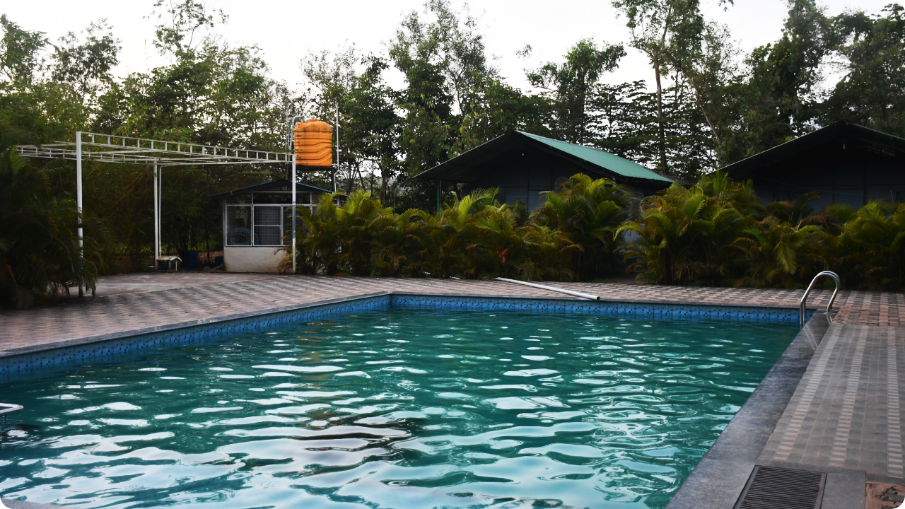 An exclusive resort and homestay package in Dandeli features an outdoor swimming pool with clear blue water, surrounded by a tiled deck. Tall trees and lush greenery partially obscure several cabins with green, pitched roofs. An orange water tank and metal structure are visible on the left.