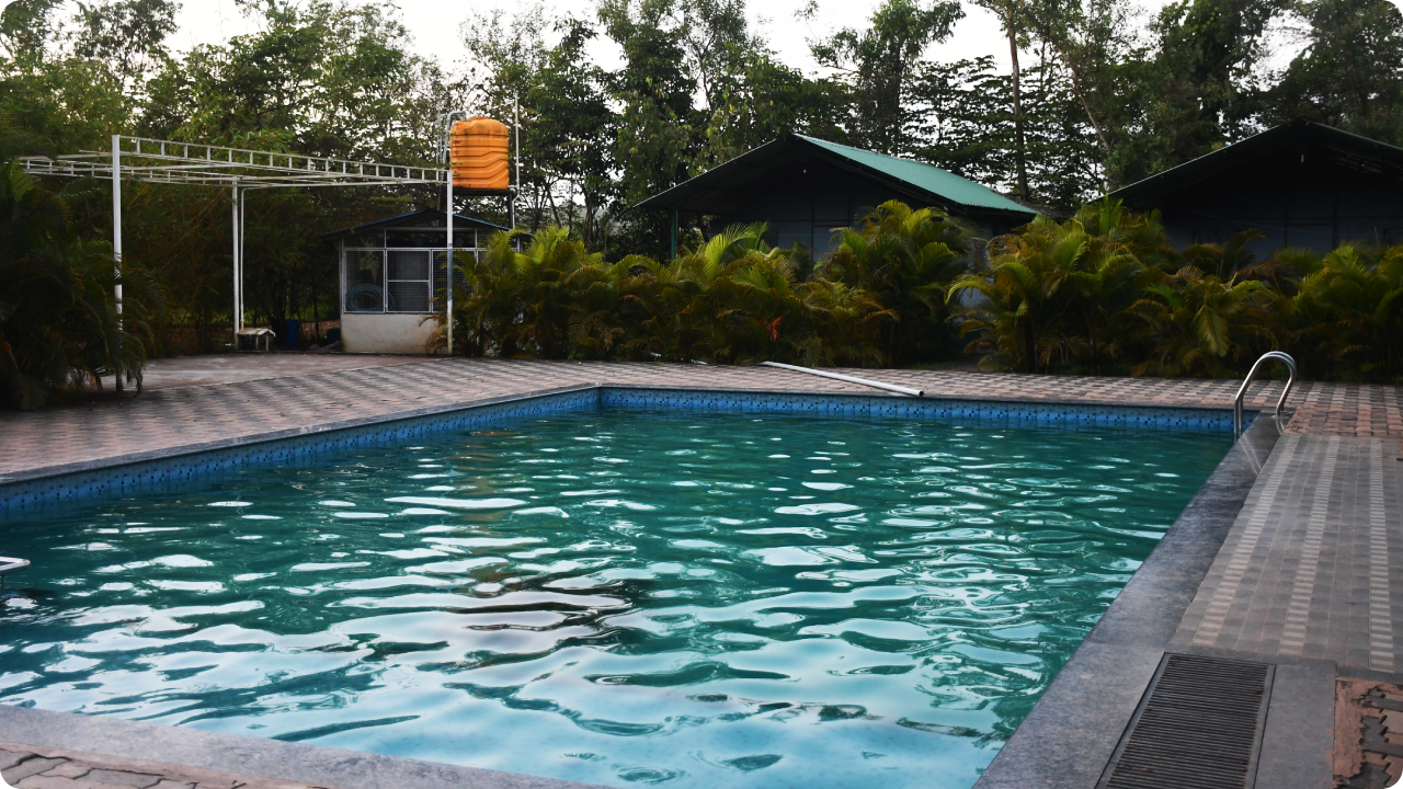 A clear outdoor swimming pool with blue water, surrounded by a checkered stone deck at Dandeli Resort and Homestay Packages. Green bushes line the pool area, with a metal ladder on the right. Two small buildings with green roofs are in the background, along with trees and a water tank.