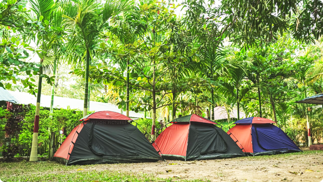 Three colorful camping tents are set up in a grassy area beneath tall, lush trees on a bright day. The tents are positioned side by side, surrounded by greenery and creating a serene outdoor scene perfect for camping or enjoying the exclusive resort and homestay packages in Dandeli.